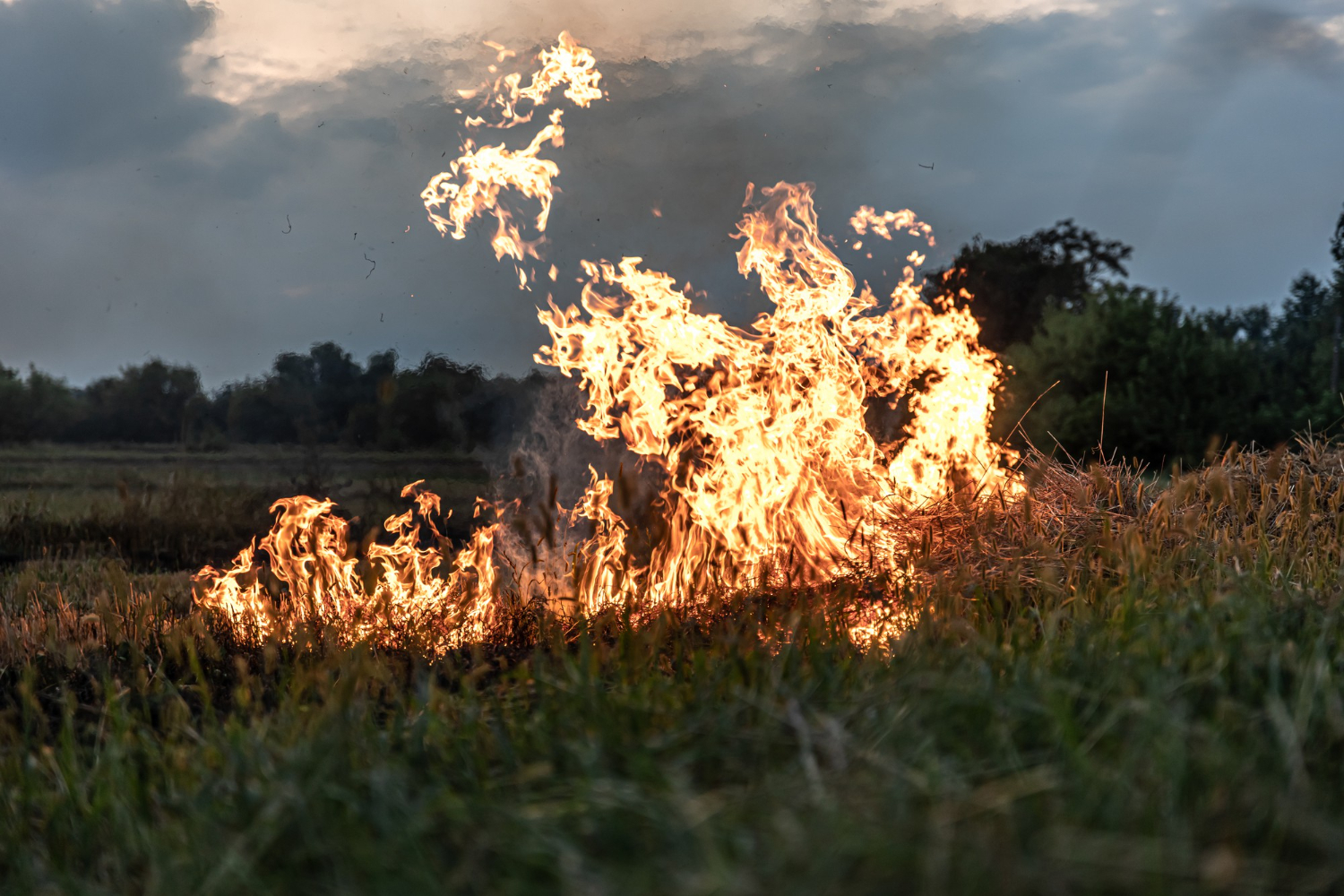 Incendies dans les Pyrénées-Orientales